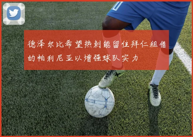 德泽尔比希望热刺能留住拜仁租借的帕利尼亚以增强球队实力