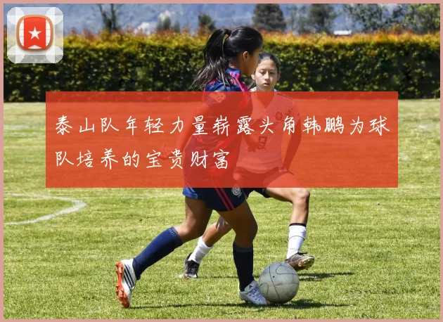 泰山队年轻力量崭露头角韩鹏为球队培养的宝贵财富